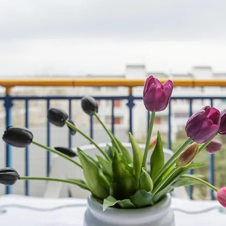 Guesthost - Comfortable With Sea View Apartamento Lido delle Nazioni