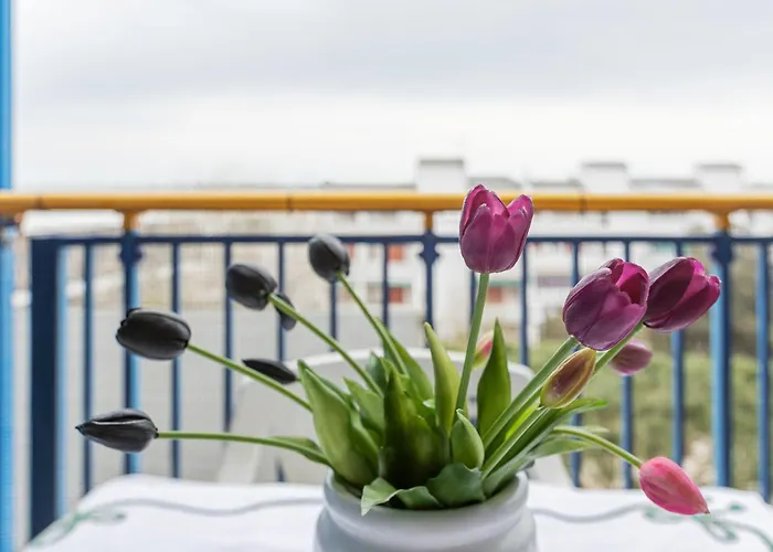 Guesthost - Comfortable With Sea View Apartman Lido delle Nazioni